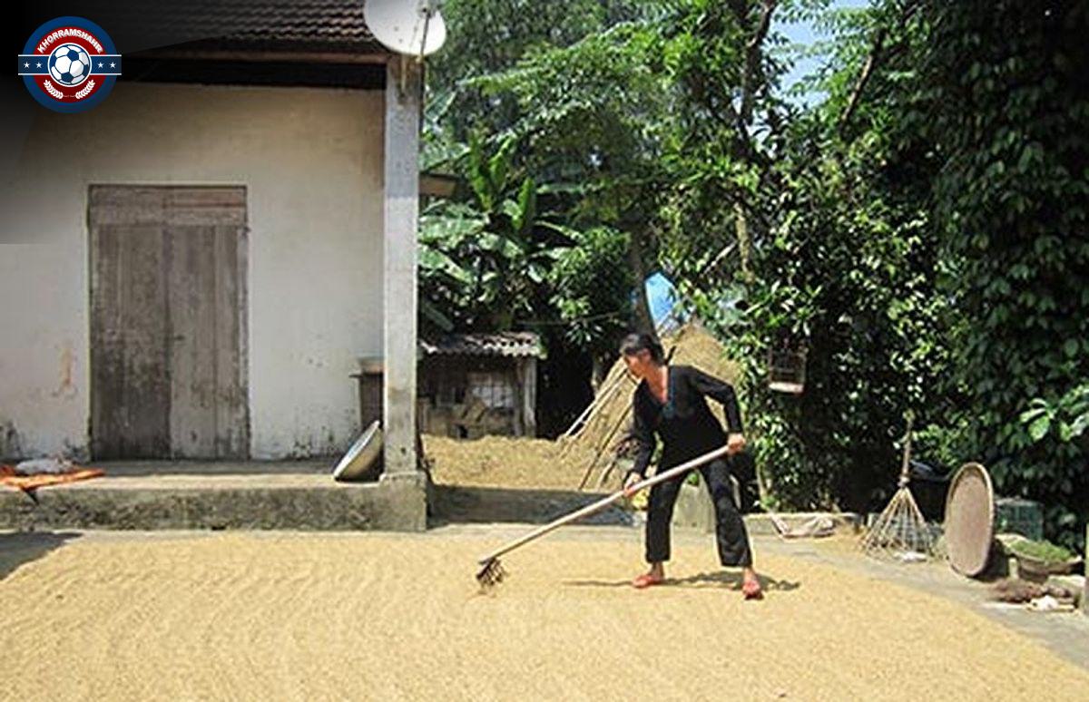 Đội Tuyển Quốc Gia: Niềm Tự Hào Dân Tộc